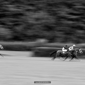 048_hm1_3350