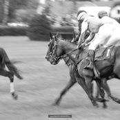 069_hm1_3338