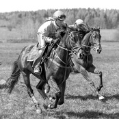 029_hms_6327